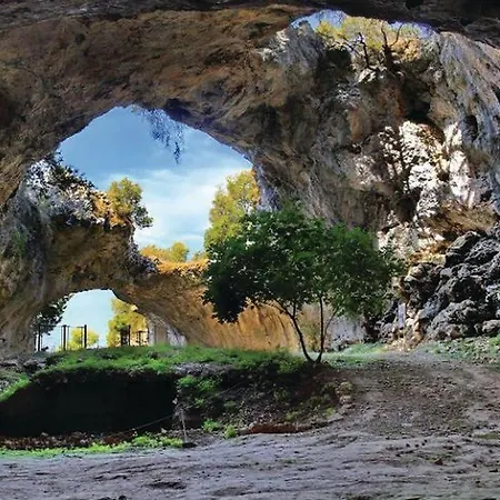 Willa Edi By Guide *